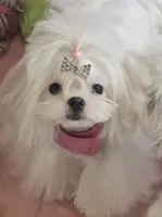 processed/7f8ec64b-7a4c-49b3-b2aa-a6ac0ba5af08/listing/bf5902bf-5d59-4291-bb93-5d7f9951335f/5377e951-4070-483a-ae49-d3f9a5e9db1e