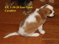 processed/7f8f76ff-9a48-485d-9897-72f0dc6144f3/listing/a9cf5784-9237-4cf8-890d-9339629da09a/d382faf4-92dd-4f8c-806c-7b565c616f57