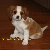 processed/7f8f76ff-9a48-485d-9897-72f0dc6144f3/listing/a9cf5784-9237-4cf8-890d-9339629da09a/e784a207-5adf-4584-8399-ef41e31def83