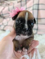 processed/7fa52098-fff3-452e-9fa6-93ba4a11f1d1/listing/3dad3876-6093-4b2b-9ca3-48ee7c53f342/2f3c5a0e-9a26-4d63-bc24-2d6218c69266