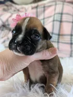 processed/7fa52098-fff3-452e-9fa6-93ba4a11f1d1/listing/3dad3876-6093-4b2b-9ca3-48ee7c53f342/8636d35d-f185-47ac-9d8b-df6b9c45f5fa