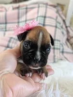 processed/7fa52098-fff3-452e-9fa6-93ba4a11f1d1/listing/3dad3876-6093-4b2b-9ca3-48ee7c53f342/b4ff98fb-ec0e-4220-879d-04aa94a4bce8