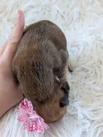 processed/7fa52098-fff3-452e-9fa6-93ba4a11f1d1/listing/3dad3876-6093-4b2b-9ca3-48ee7c53f342/c6610523-5635-4da2-a1e5-e60d7020250a