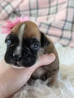 processed/7fa52098-fff3-452e-9fa6-93ba4a11f1d1/listing/3dad3876-6093-4b2b-9ca3-48ee7c53f342/d79c6106-0d04-4a4a-aff7-77d01ee3ab24