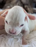 processed/7fa52098-fff3-452e-9fa6-93ba4a11f1d1/listing/8d7de56a-5737-4b42-8468-b3ae492ce6ef/13e9c7af-58cc-4dff-be43-3536746fdae4