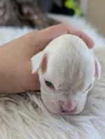 processed/7fa52098-fff3-452e-9fa6-93ba4a11f1d1/listing/8d7de56a-5737-4b42-8468-b3ae492ce6ef/27bebaec-09e6-4538-89d5-deee33df6e36