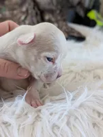 processed/7fa52098-fff3-452e-9fa6-93ba4a11f1d1/listing/8d7de56a-5737-4b42-8468-b3ae492ce6ef/6dc47c13-aa30-4316-a6d3-6cdc341e49bc