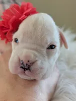 processed/7fa52098-fff3-452e-9fa6-93ba4a11f1d1/listing/acacd870-8183-476b-a709-0c50d38dadb7/1bfd5272-1efb-4ac0-a235-8c5a37bbdafe