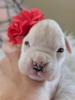 processed/7fa52098-fff3-452e-9fa6-93ba4a11f1d1/listing/acacd870-8183-476b-a709-0c50d38dadb7/77dcbcc7-19ac-4404-9436-8df7118eb966