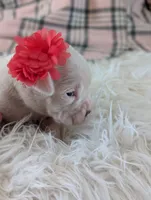 processed/7fa52098-fff3-452e-9fa6-93ba4a11f1d1/listing/acacd870-8183-476b-a709-0c50d38dadb7/9881f792-fda0-419c-b0ab-13b98136c543