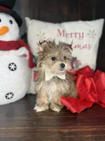 processed/7fa69ea1-b69b-40af-a92d-987f7b37a4be/listing/092c8270-8558-46d5-80d0-ad21c3c5b0f6/10f43e4d-8bbe-4476-9235-7a7a8c8c5d3f