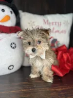 processed/7fa69ea1-b69b-40af-a92d-987f7b37a4be/listing/092c8270-8558-46d5-80d0-ad21c3c5b0f6/44c64983-9f39-4521-8df5-801798beeeee