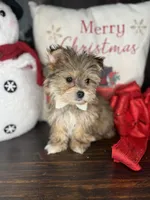 processed/7fa69ea1-b69b-40af-a92d-987f7b37a4be/listing/092c8270-8558-46d5-80d0-ad21c3c5b0f6/af15deb3-6a75-4898-b2ad-18ace7bcb91f