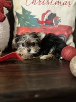 processed/7fa69ea1-b69b-40af-a92d-987f7b37a4be/listing/7beff6bd-d683-4325-8c4d-e8f69b43cdcf/889ba28d-bab1-471d-b36f-1aeaeaac735a