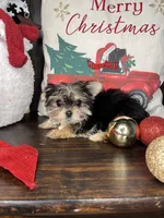 processed/7fa69ea1-b69b-40af-a92d-987f7b37a4be/listing/7beff6bd-d683-4325-8c4d-e8f69b43cdcf/bbe53b7a-09d5-459a-ad33-54129408988c