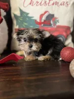 processed/7fa69ea1-b69b-40af-a92d-987f7b37a4be/listing/7beff6bd-d683-4325-8c4d-e8f69b43cdcf/bf2b8143-4034-4fe3-afa5-5bfba88f134a