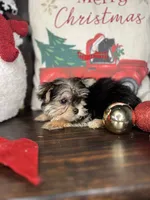 processed/7fa69ea1-b69b-40af-a92d-987f7b37a4be/listing/7beff6bd-d683-4325-8c4d-e8f69b43cdcf/e12971e4-536e-49b2-86bd-6ce56729212f