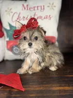 processed/7fa69ea1-b69b-40af-a92d-987f7b37a4be/listing/8f518dc1-538e-437b-ba92-9b20e5b53683/109472e0-b0a9-405e-aef0-9a28d1c4df7f