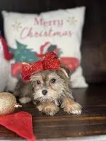 processed/7fa69ea1-b69b-40af-a92d-987f7b37a4be/listing/8f518dc1-538e-437b-ba92-9b20e5b53683/420a7a83-0c3c-486f-bfc3-93615f304020