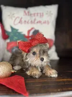 processed/7fa69ea1-b69b-40af-a92d-987f7b37a4be/listing/8f518dc1-538e-437b-ba92-9b20e5b53683/4a7cd5c4-4bef-4237-b771-363b267a2a14