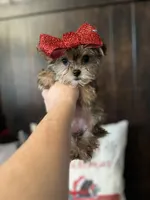 processed/7fa69ea1-b69b-40af-a92d-987f7b37a4be/listing/8f518dc1-538e-437b-ba92-9b20e5b53683/8a906a4e-655b-4cc8-a313-e6a5db39cbb1