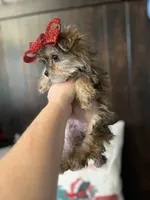 processed/7fa69ea1-b69b-40af-a92d-987f7b37a4be/listing/8f518dc1-538e-437b-ba92-9b20e5b53683/a3a2b286-d9cd-46aa-a391-a82bd60e5c29