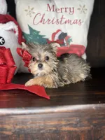 processed/7fa69ea1-b69b-40af-a92d-987f7b37a4be/listing/f6379152-d3f2-4bd9-8c44-16cc6067c36c/19df837d-91a8-4012-b3af-5f0c4b6bdef4