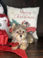 processed/7fa69ea1-b69b-40af-a92d-987f7b37a4be/listing/f6379152-d3f2-4bd9-8c44-16cc6067c36c/bd875390-8aaa-4968-af0a-ec478a8b7706