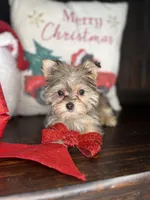 processed/7fa69ea1-b69b-40af-a92d-987f7b37a4be/listing/f6379152-d3f2-4bd9-8c44-16cc6067c36c/c999f54a-6f83-45b3-bc95-1b7ae815882d