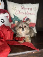 processed/7fa69ea1-b69b-40af-a92d-987f7b37a4be/listing/f6379152-d3f2-4bd9-8c44-16cc6067c36c/e077fa4b-5535-43b0-a51d-affd557b39ac