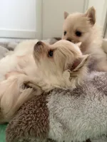 processed/7fc38105-aab7-4299-8ac6-f8cfa000ed16/facility/62f0673c-c414-4418-8bc0-aacfec48c9e7