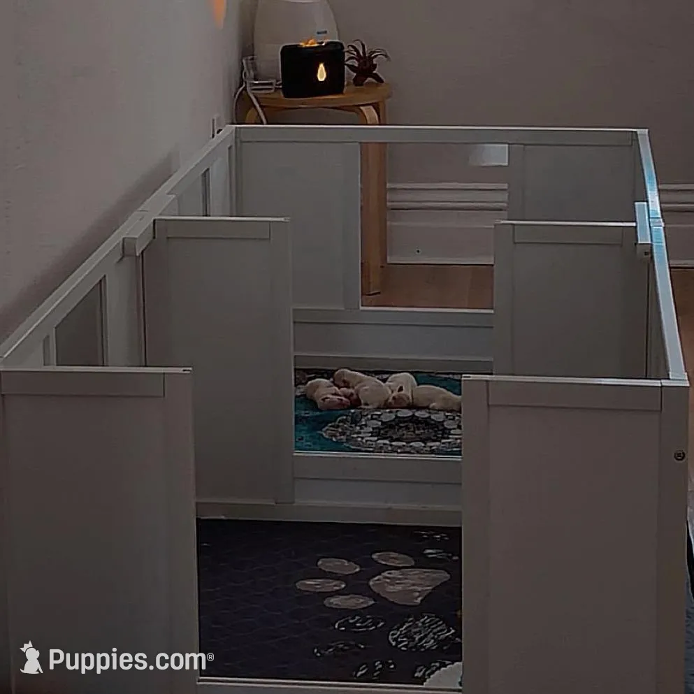 processed/7fc38105-aab7-4299-8ac6-f8cfa000ed16/facility/64d4e09c-1465-4374-a287-8ef1384db01e