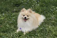 processed/7fc38105-aab7-4299-8ac6-f8cfa000ed16/facility/6d4e4f58-2b41-41e3-96d2-4ebfa3ad19fb