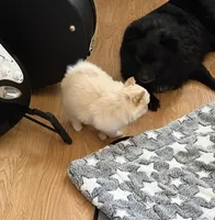 processed/7fc38105-aab7-4299-8ac6-f8cfa000ed16/facility/98997aa7-2101-45fe-ad96-ab82b656e561