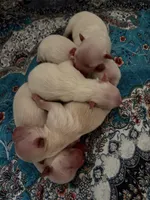 processed/7fc38105-aab7-4299-8ac6-f8cfa000ed16/facility/a9673be9-cc1a-45c3-83e0-27203b4e5919