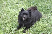 processed/7fc38105-aab7-4299-8ac6-f8cfa000ed16/facility/b3657529-af33-48ac-ad78-588085f81e74