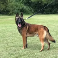 processed/7fc847ff-d9de-4f1d-b237-6ca2b130a3dd/facility/0d938129-9ebd-45b1-8a70-47e496e2f665