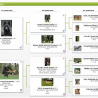 processed/7fc847ff-d9de-4f1d-b237-6ca2b130a3dd/facility/181e6cee-18c9-4f14-9525-ce5daee11f22