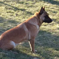 processed/7fc847ff-d9de-4f1d-b237-6ca2b130a3dd/facility/394dbf0e-9425-40bb-be0d-79ec42c8ab58