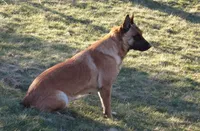 processed/7fc847ff-d9de-4f1d-b237-6ca2b130a3dd/facility/394dbf0e-9425-40bb-be0d-79ec42c8ab58