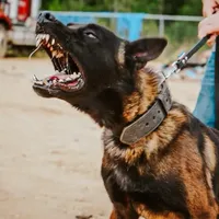 processed/7fc847ff-d9de-4f1d-b237-6ca2b130a3dd/facility/43fdf7cd-1648-4c2a-a7ae-159e43eecfaf