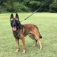 processed/7fc847ff-d9de-4f1d-b237-6ca2b130a3dd/facility/5123ef46-981d-48e1-bee1-3d8805e89caf