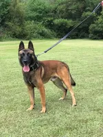 processed/7fc847ff-d9de-4f1d-b237-6ca2b130a3dd/facility/5123ef46-981d-48e1-bee1-3d8805e89caf