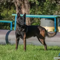 processed/7fc847ff-d9de-4f1d-b237-6ca2b130a3dd/facility/53669517-f4bd-44d4-a4db-e49ac8523771