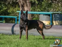 processed/7fc847ff-d9de-4f1d-b237-6ca2b130a3dd/facility/53669517-f4bd-44d4-a4db-e49ac8523771