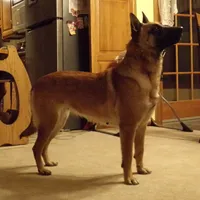 processed/7fc847ff-d9de-4f1d-b237-6ca2b130a3dd/facility/6850cfea-20d0-412a-92c3-236071f75eac