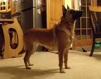 processed/7fc847ff-d9de-4f1d-b237-6ca2b130a3dd/facility/6850cfea-20d0-412a-92c3-236071f75eac