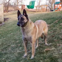 processed/7fc847ff-d9de-4f1d-b237-6ca2b130a3dd/facility/a20820fc-e512-412c-9d1f-f88d5f38d979