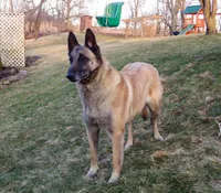 processed/7fc847ff-d9de-4f1d-b237-6ca2b130a3dd/facility/a20820fc-e512-412c-9d1f-f88d5f38d979