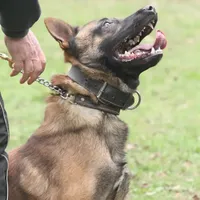 processed/7fc847ff-d9de-4f1d-b237-6ca2b130a3dd/facility/a4985acf-5e53-449e-9d70-76284d08f3e3